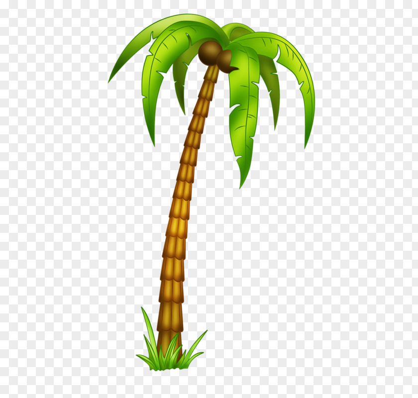 Coconut Tree Tinker Bell Piracy Neverland Child Art PNG