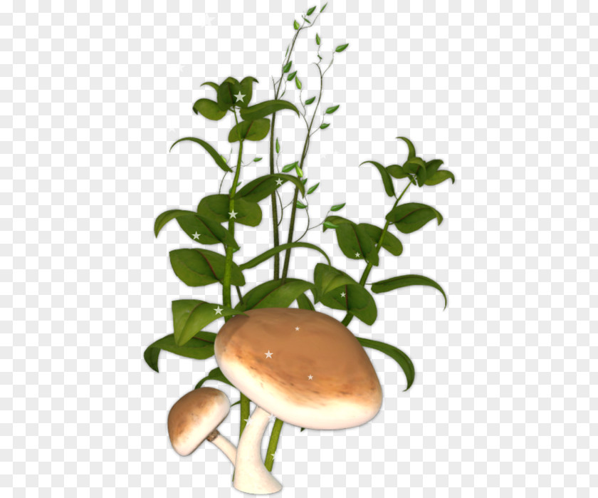 Design Plant Stem Flowerpot PNG