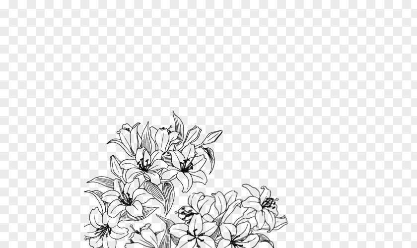 Flower Drawing Black And White Floral Design PNG