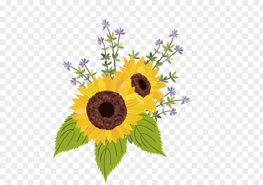 Flowers Free To Download! Common Sunflower Seed PNG