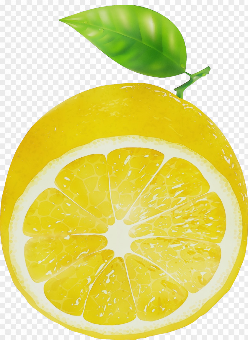 Lemon Peel Pomelo Watercolor Natural PNG