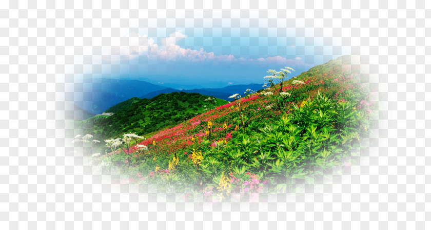 Mountain Landscape Desktop Wallpaper Hill Station Vegetation Computer PNG