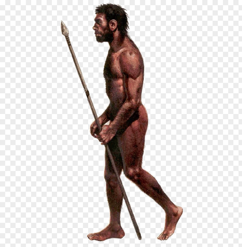 Neandertal Cro-Magnon Rock Shelter Primate Anatomically Modern Human Early Migrations PNG