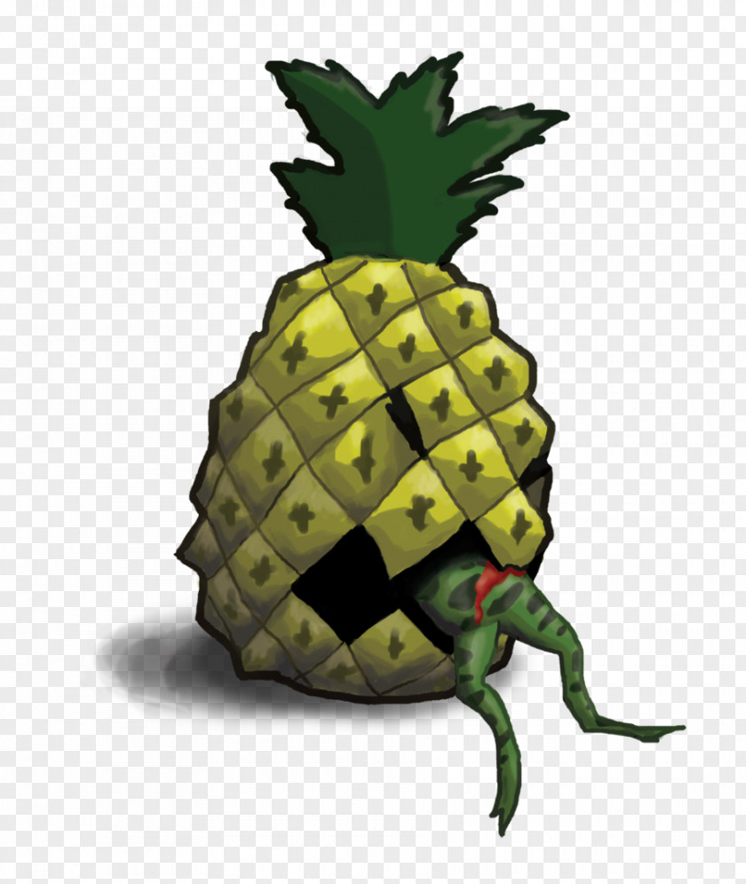 Pineapple Tortoise PNG