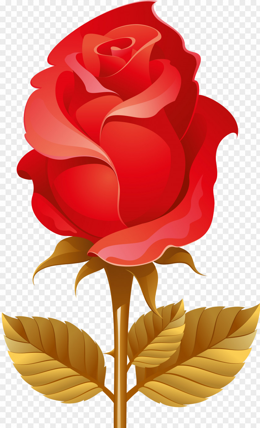 Red Rose Mother's Day Picture Frames Clip Art PNG