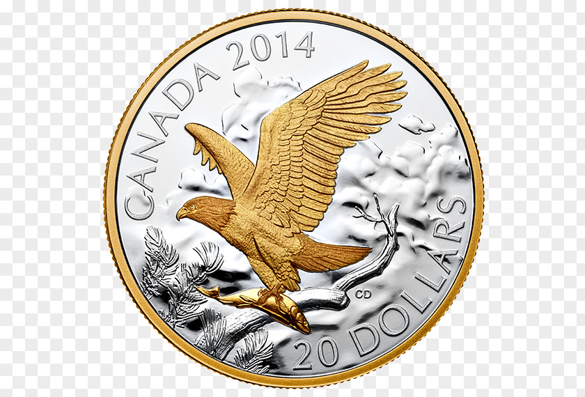 Coin Eagle Gold PNG