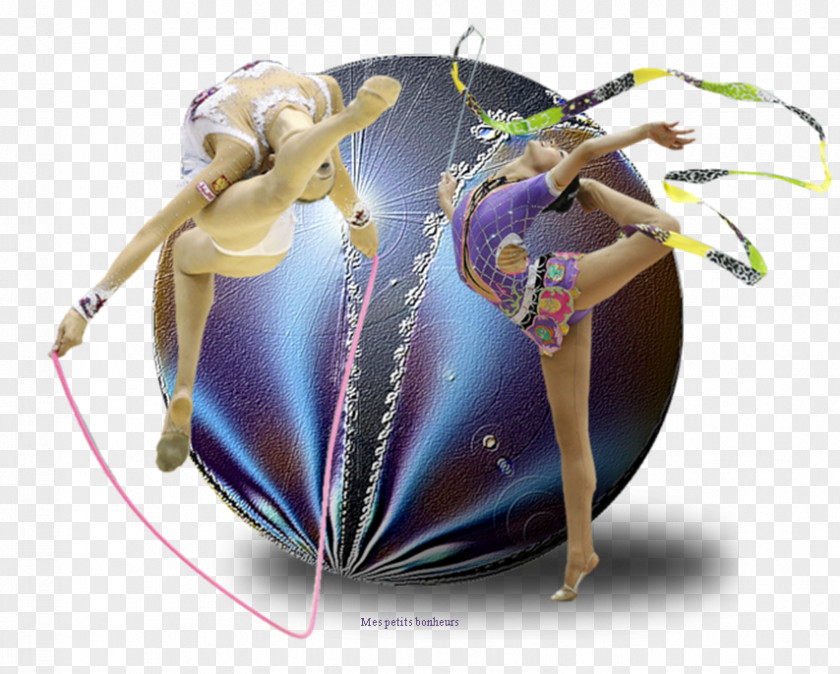 Insect Yevgeniya Kanayeva PNG