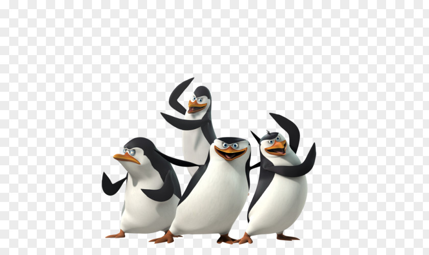 Madagascar Penguins Penguin Film DreamWorks Animation PNG