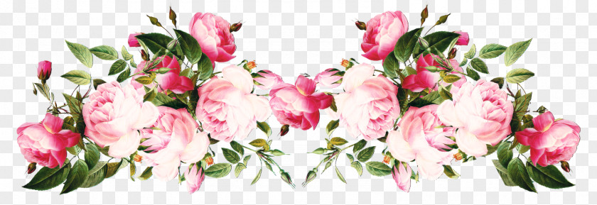 Rose Flower Floral Design Clip Art PNG
