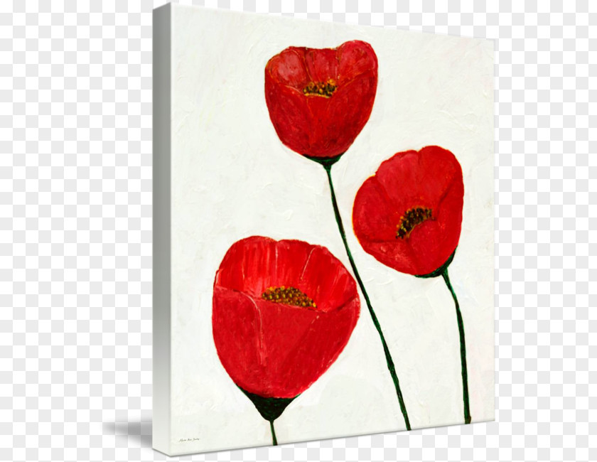 Paint Acrylic Poppy Painting Art PNG