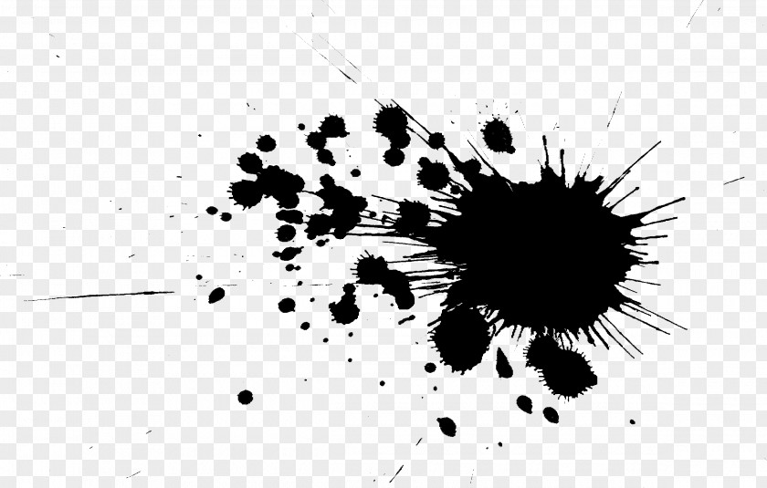 Paint Brush Black And White Microsoft PNG