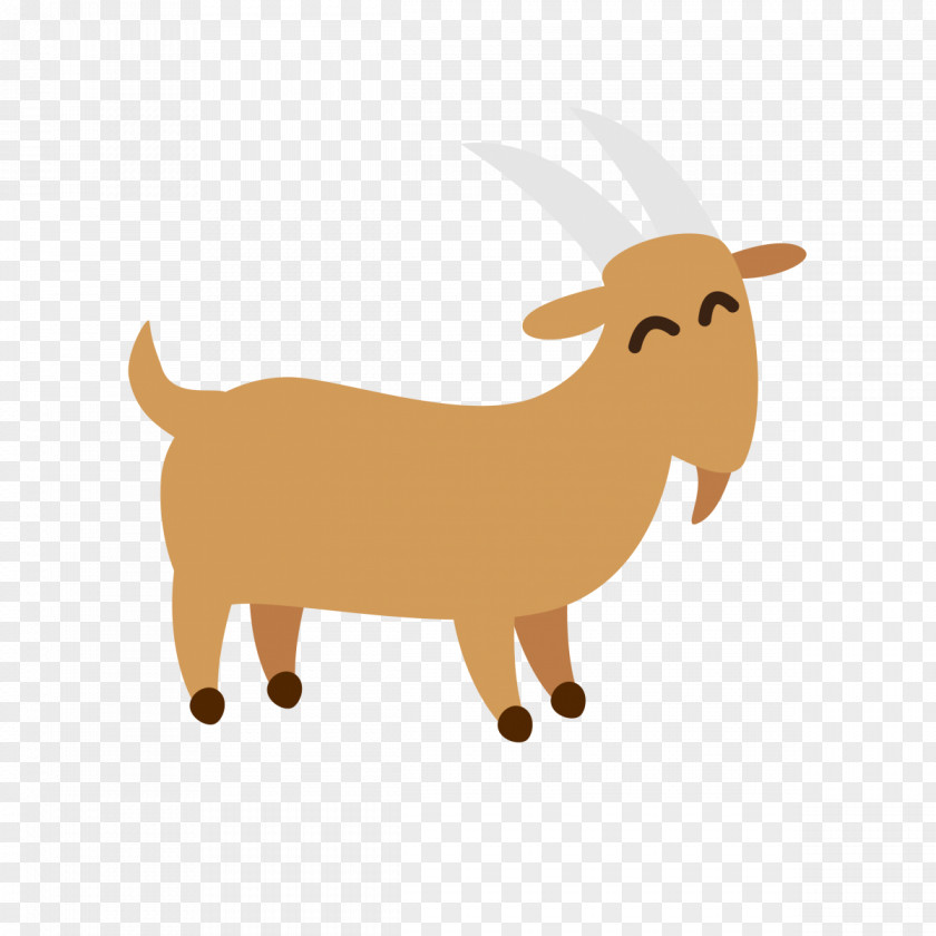Sheep Goat Qurbani Camel Aqiqah PNG