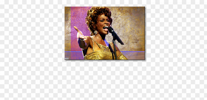 Whitney Houston Hair Coloring PNG