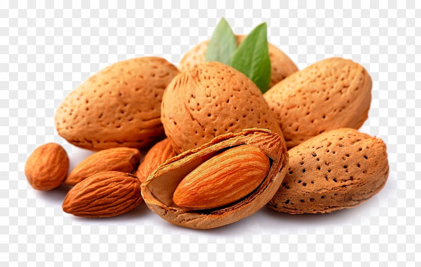 Almond Nuts Nut Dried Fruit Oil PNG