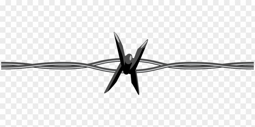 Barbwire The Sixth Republic Barbed Wire PNG