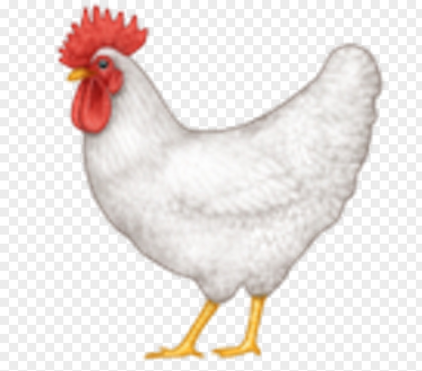 Emoji Apple Color Chicken The Odd Fellows Society PNG
