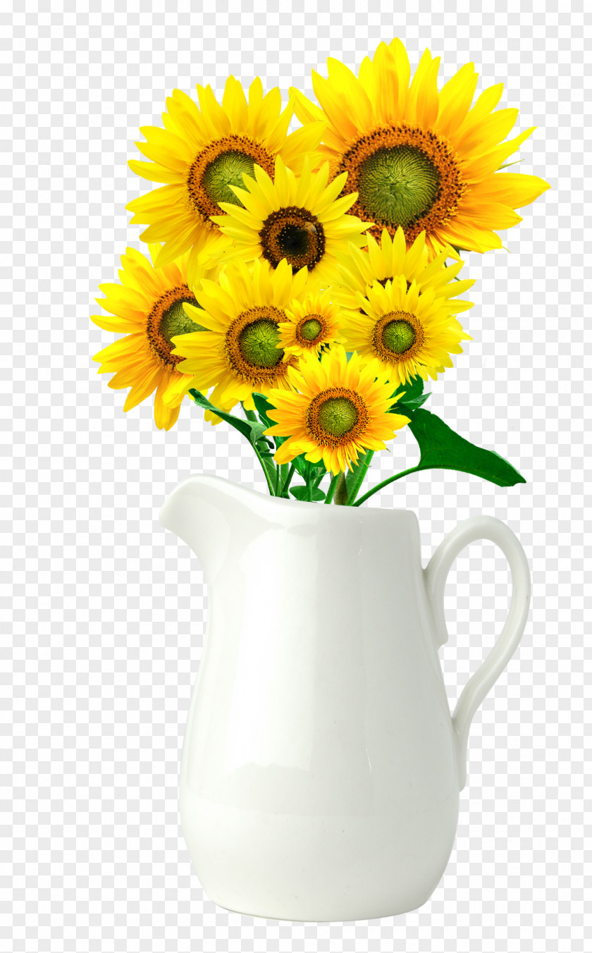Exquisite Vase Common Sunflower PNG