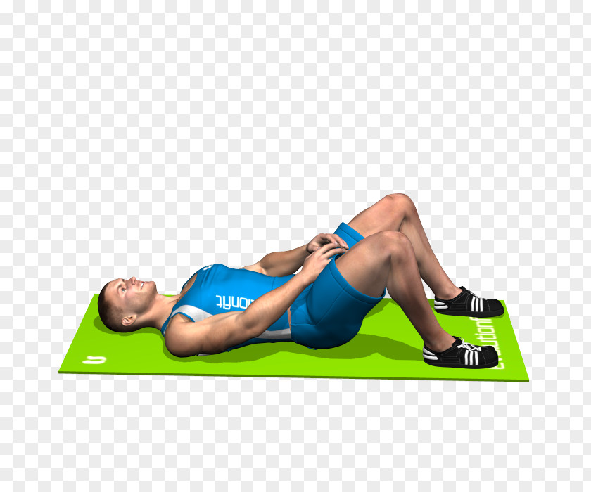 Mani Crunch Physical Fitness Sit-up Rectus Abdominis Muscle Abdominal External Oblique PNG