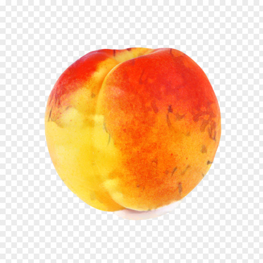 Nectarines European Plum Fruit Cartoon PNG