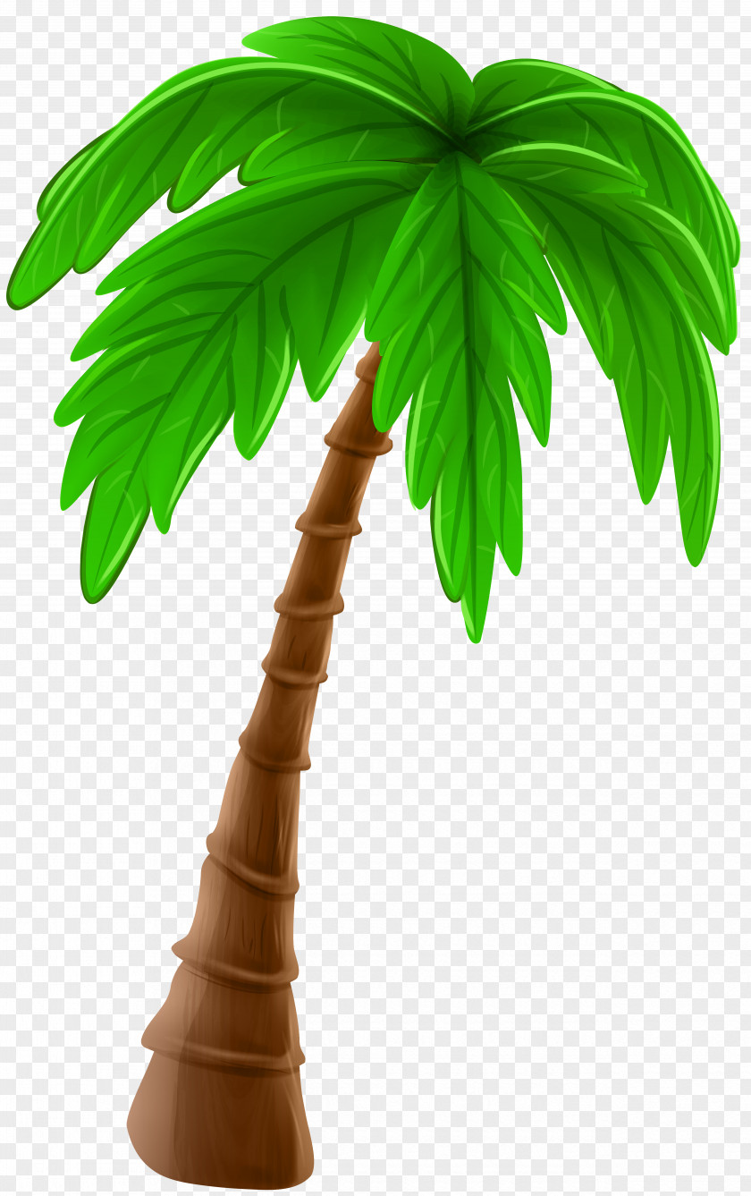 Palm Tree Cartoon Clip Art Image Arecaceae PNG