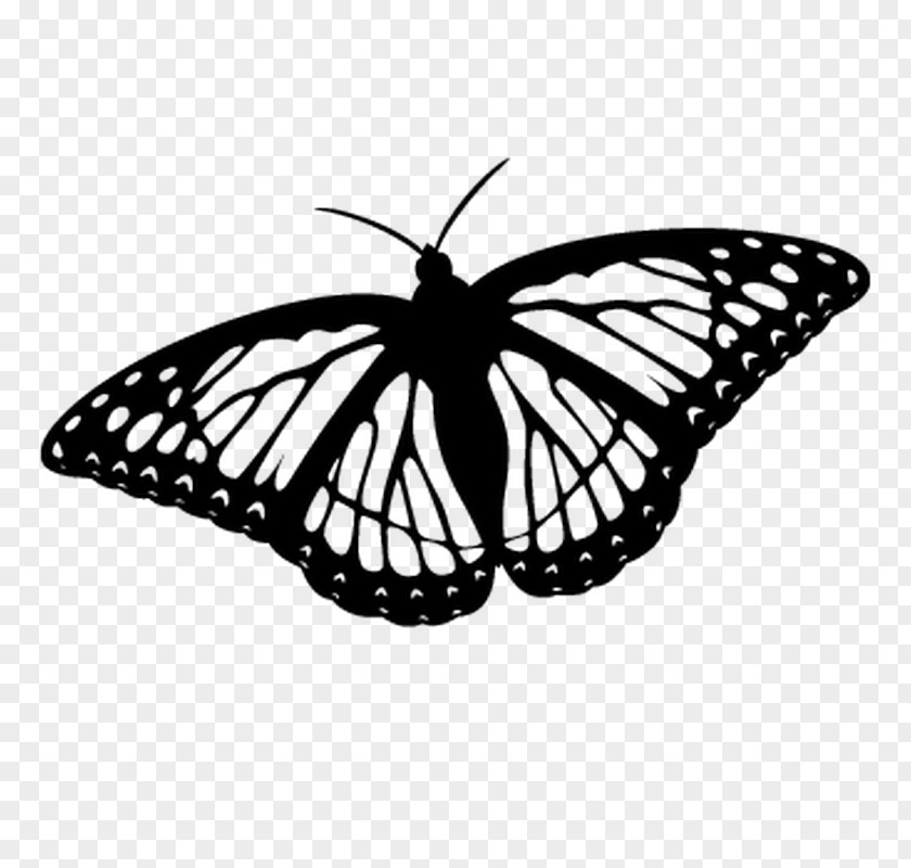 Papillon Movie Review Monarch Butterfly Coloring Book Clip Art Drawing PNG