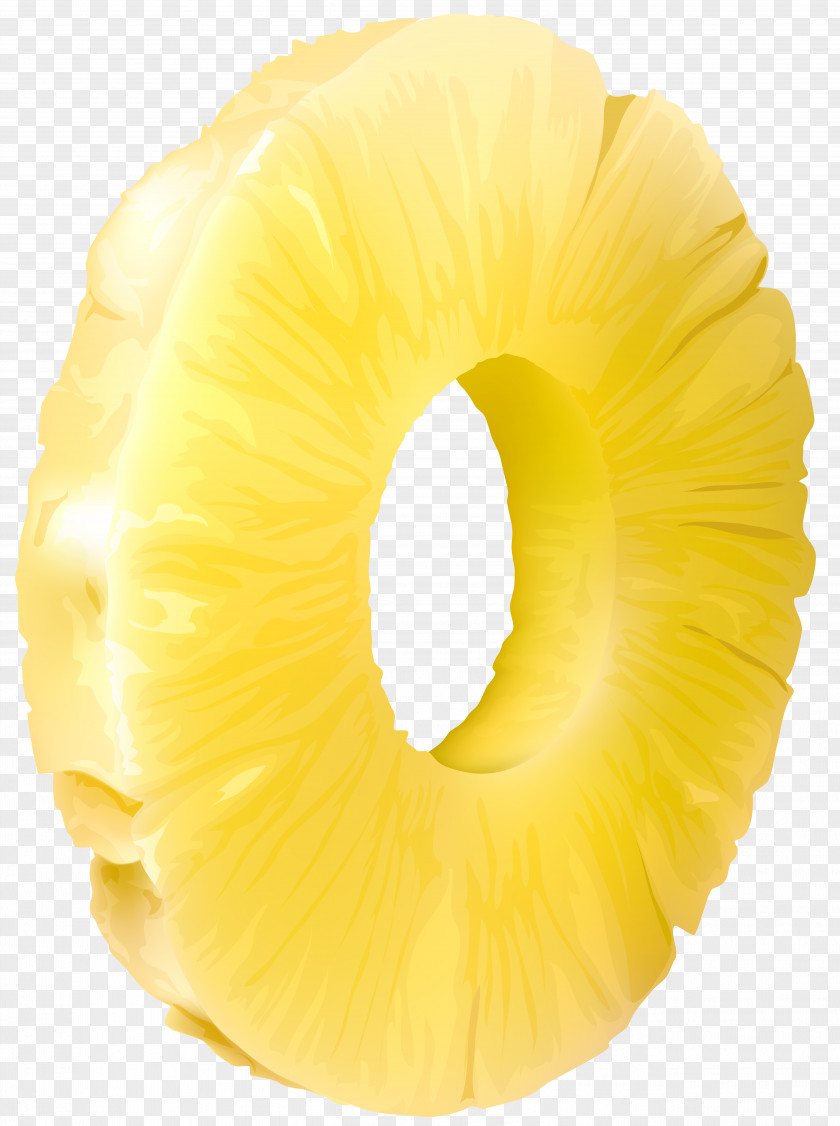 Pineapple Slice Fruit Close-up PNG