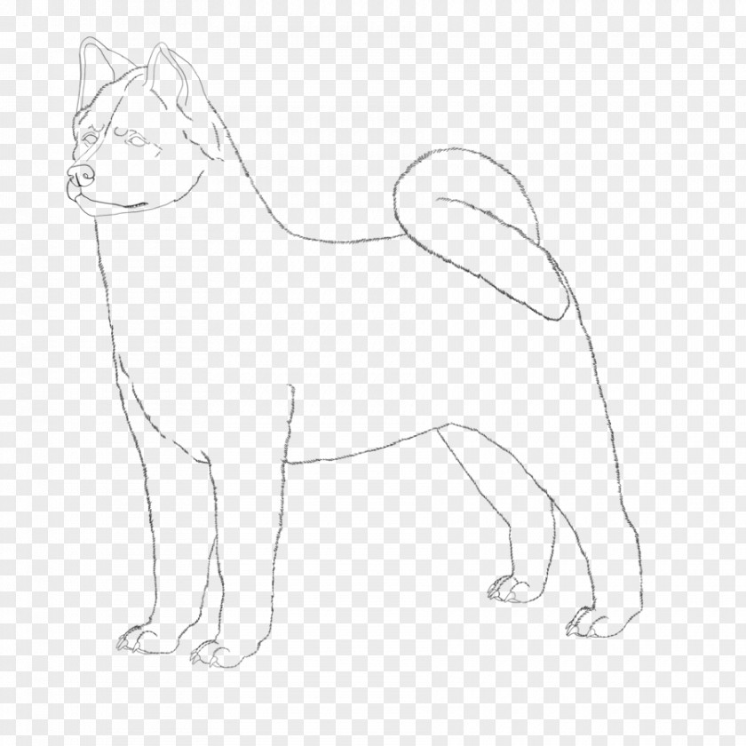 Cat Dog Breed Whiskers Akita Japanese Spitz PNG