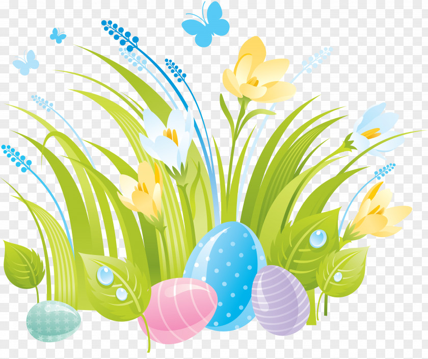 Easter Bunny Egg Picture Frames PNG