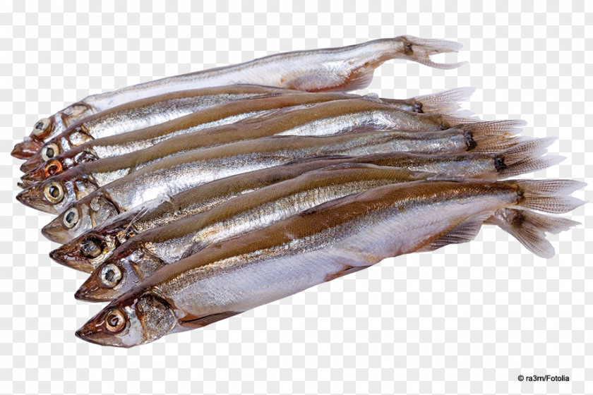 Fish Capelin Products Sardine Stock Photography PNG