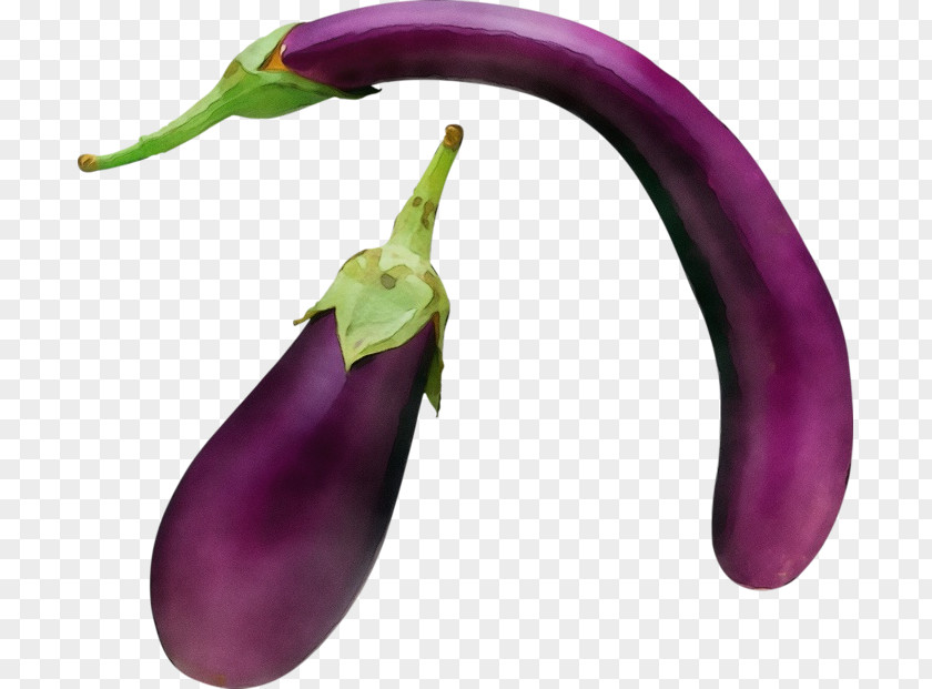 Flowering Plant Serrano Pepper Eggplant Vegetable Purple Bell Peppers And Chili PNG