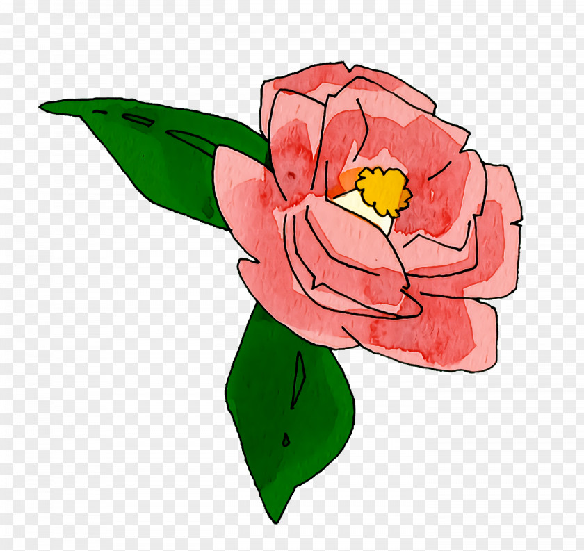 Garden Roses PNG