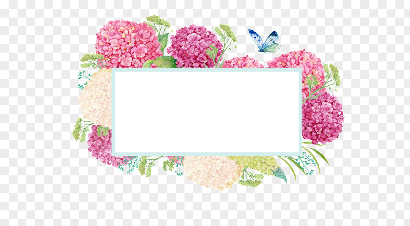 Hydrangea Border Floral Design Picture Frames Wallpaper Graphic PNG