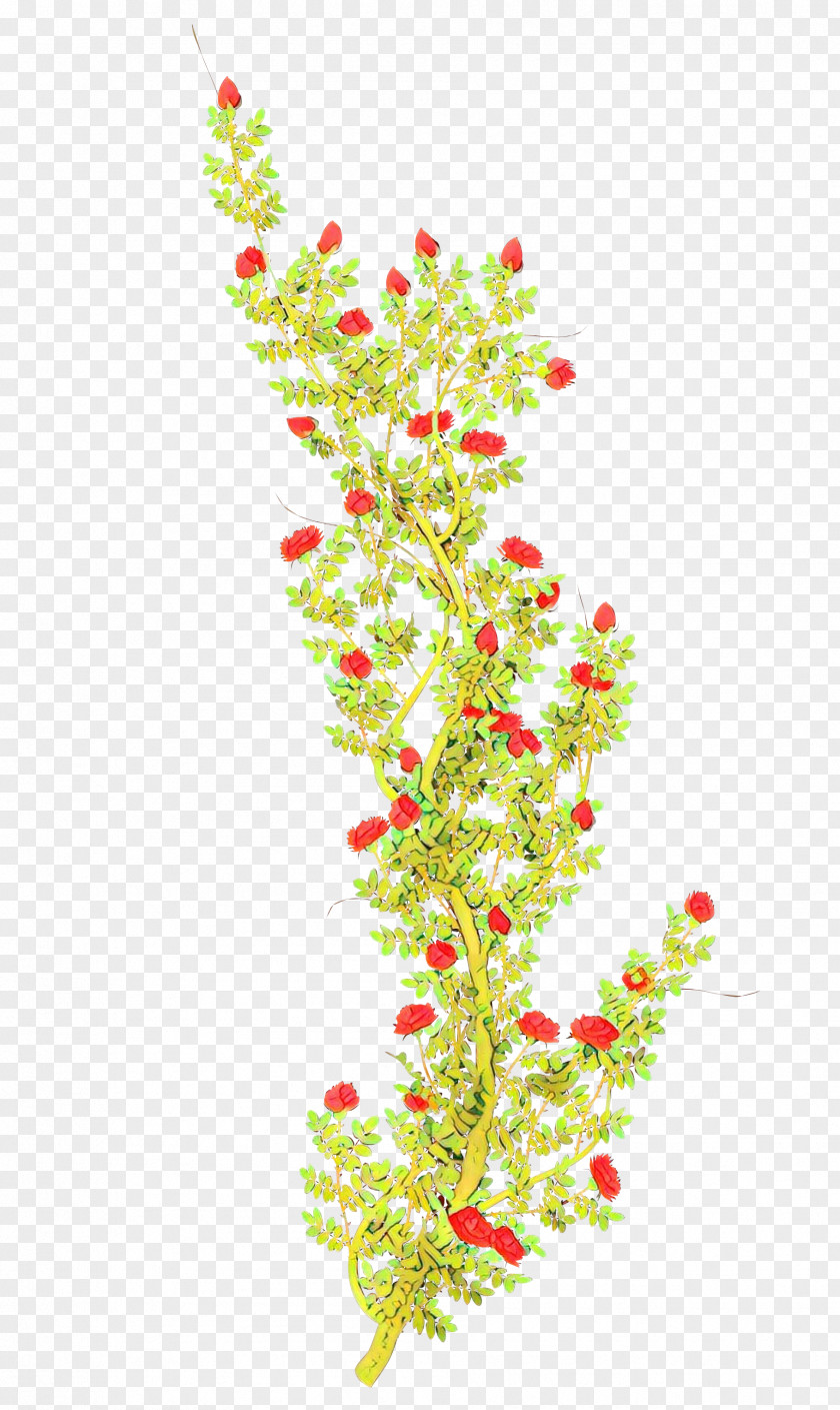 Pedicel Aquarium Decor Twig Plant Stem Flower Shrub Leaf PNG