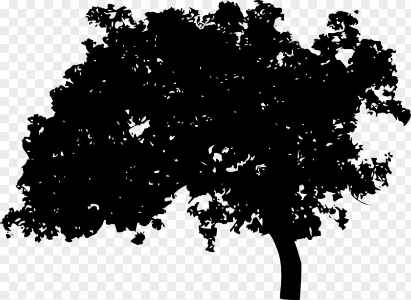 Tree Vector Silhouette Photography Light PNG
