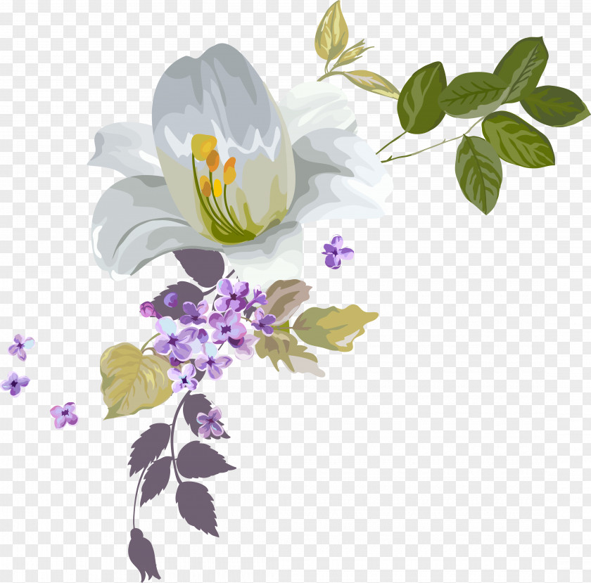 Water Colours Decorate Beautiful Flowers Watercolor Painting Drawing Clip Art PNG