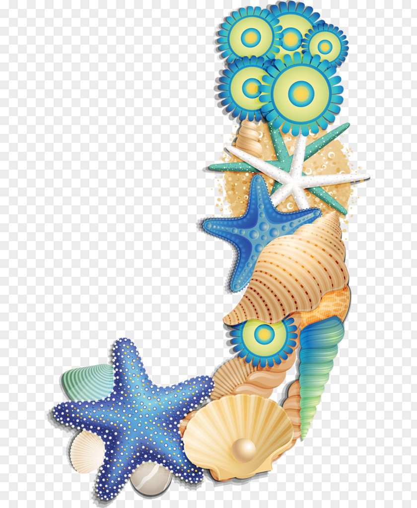 Yolunso Seashell Letter Alphabet Beach PNG