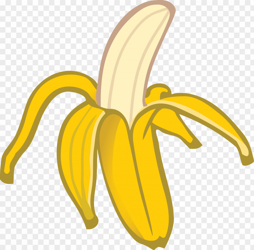 Banana T-shirt Drawing Peel Joke PNG