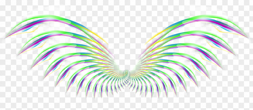 Color Pattern Wings Wing Computer File PNG