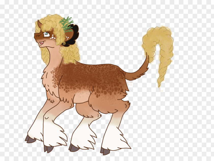 Lion Llama Sheep Horse Cat PNG