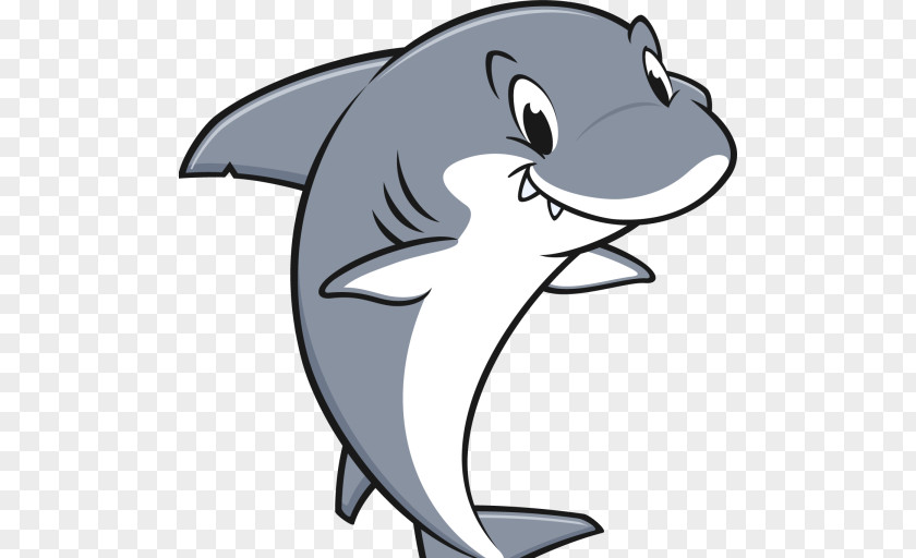 Shark Stock Photography PNG