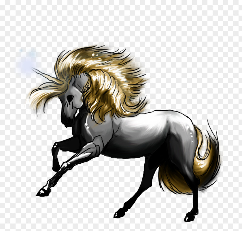 Unicorn Mane Pony Mustang Art PNG
