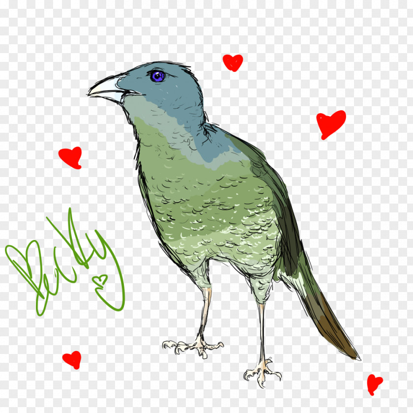 Bird Beak Digital Art Artist PNG