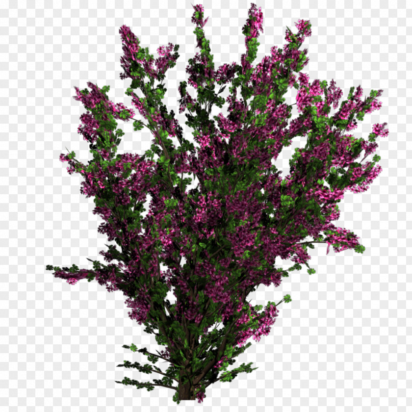 Bushes Flower Plant Tree Shrub Texture Mapping PNG