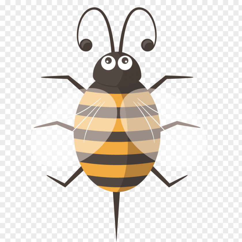 Cute Cartoon Bee Euclidean Vector PNG