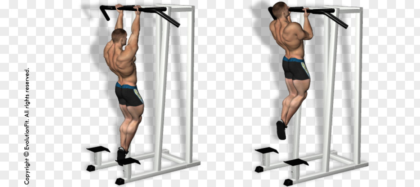 Delta Blues Pull-up Weight Training Chin-up Horizontal Bar Fitness Centre PNG
