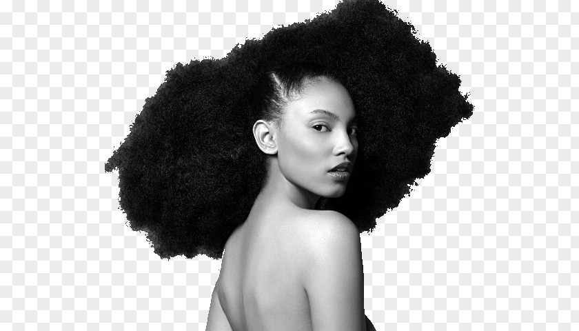 Hair Afro-textured Hairstyle Natural Movement PNG