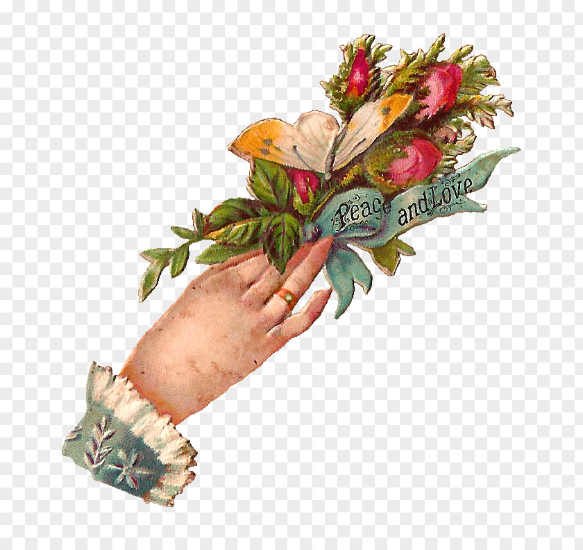 Hand Floral Design Victorian Era Clip Art Image PNG