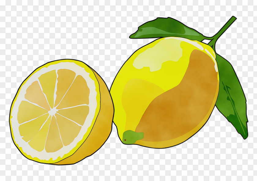 Peel Tangelo Lemon Leaf PNG