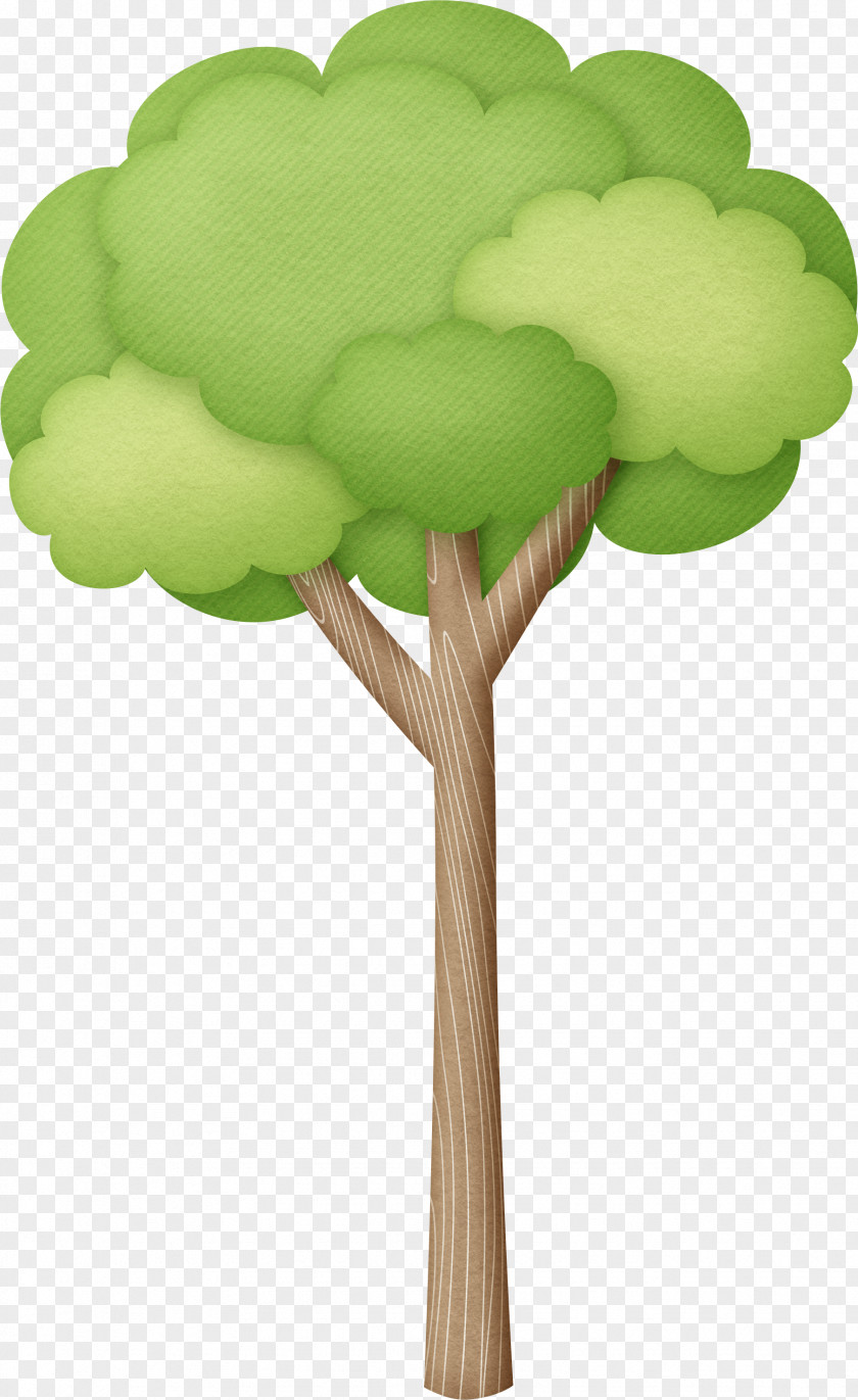 Tree Top Brazil Trunk Toy Balloon Clip Art PNG