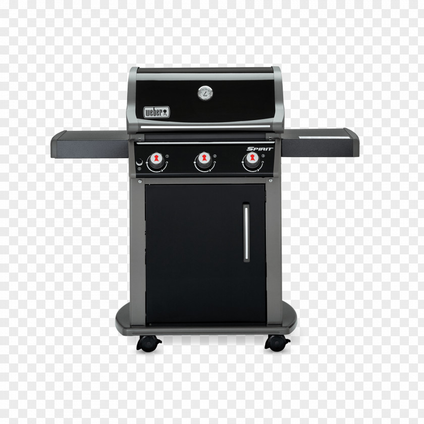 Barbecue Weber-Stephen Products Propane Gasgrill PNG